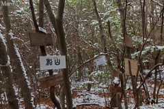 船山の山頂付近 妙見堂山 京都市北区西賀茂 2013年2月