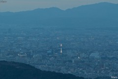 大文字山の山頂(三角点)から改修工事中の京都タワー(点灯直後)を望む 2013年2月