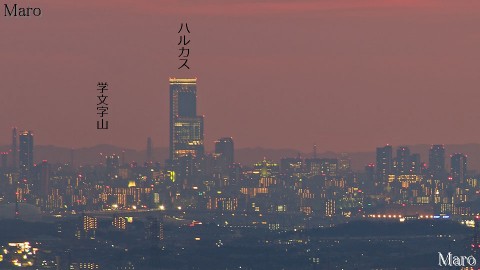 日野岳から「あべのハルカス」全面開業カウントダウン「50」を望む 1月16日