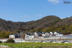 神山(こうやま)を柊野から望む 京都市北区上賀茂 2014年2月