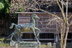「西国三十三所」青葉山松尾寺のお馬さん 午年の馬 舞鶴市 2014年4月