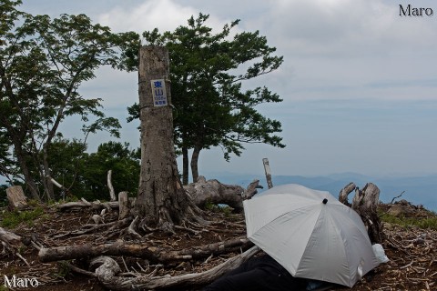 東山(とうせん)の山頂 標高1388.0m 中国山地東部 鳥取県 2014年6月