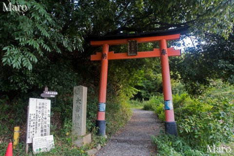 深草トレイル大岩山展望所コース(大岩神社参道)、大岩街道の上山口に建つ鳥居 2014年9月