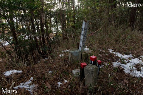 烏ヶ嶽(滋賀県湖南市三雲)の山頂 残雪 2015年1月