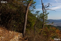京都北山 桃山(天峯、天ヶ峰)の見晴台(展望地) 京都市 2015年11月