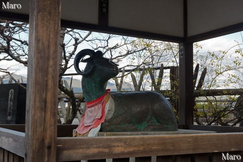 嵐山虚空蔵 法輪寺の羊像? 山羊像? に未年最後のご挨拶 2015年12月
