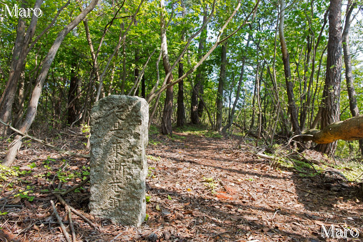 精神を異常にする星 羊刃 高山京三 京都北山 釈迦谷山ハイク 鷹峯～西陣杉坂線～京見峠～秋葉神社