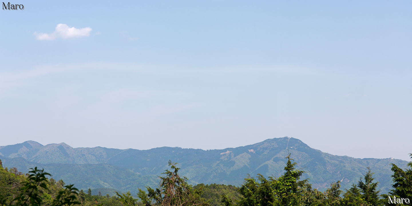京都北山 釈迦谷山ハイク 鷹峯～西陣杉坂線～京見峠～秋葉神社