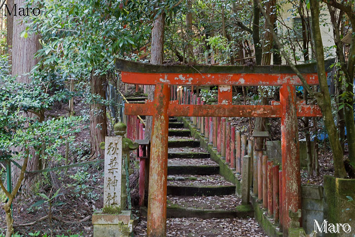 京都北山 釈迦谷山ハイク 鷹峯～西陣杉坂線～京見峠～秋葉神社