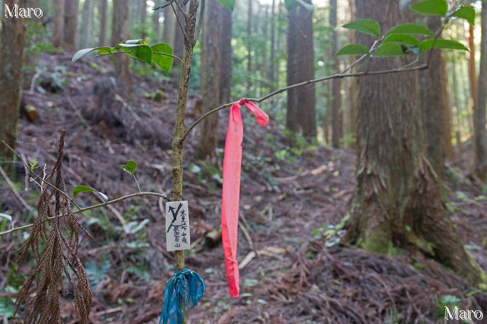 京都北山 釈迦谷山ハイク 鷹峯～西陣杉坂線～京見峠～秋葉神社