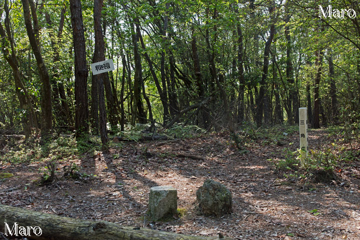 京都北山 釈迦谷山ハイク 鷹峯～西陣杉坂線～京見峠～秋葉神社