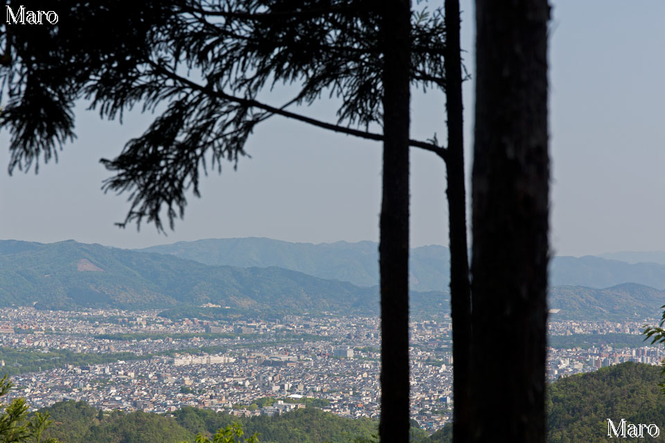 京都北山 釈迦谷山ハイク 鷹峯～西陣杉坂線～京見峠～秋葉神社