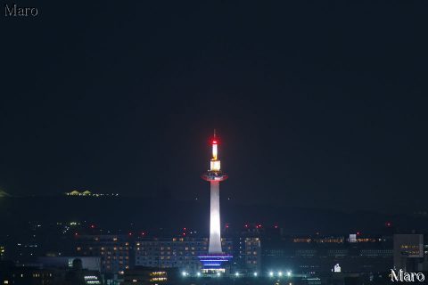 京都タワーLEDライトアップ点灯式 白色（ホワイト）の照明を船岡山から遠望 2016年3月14日