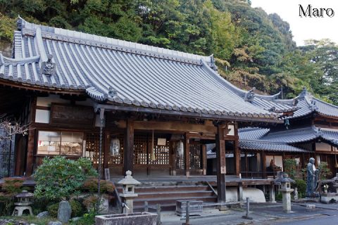 高観音近松寺 三井寺別所 上栄町~長等公園 2016年10月