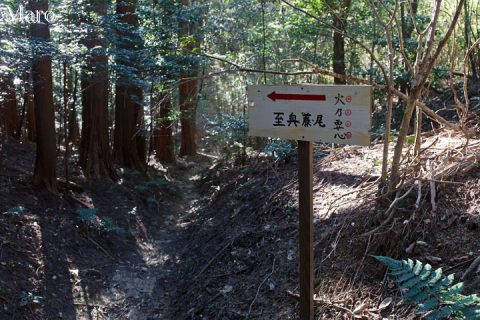 如意越 坊越峠 「←至奥藤尾」道標 2016年10月 如意越 坊越峠 「←至奥藤尾」道標 2016年10月