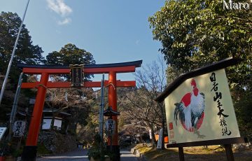 日吉大社 酉年の干支絵馬 2016年から2017年へ 滋賀県大津市