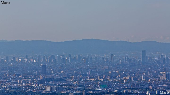 焼山から大阪の高層ビル群、あべのハルカスを遠望 和泉山脈