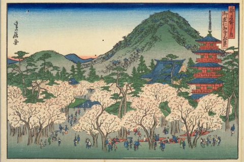 『都名所之内 御室仁和寺花盛』長谷川貞信 『都名所之内 御室仁和寺花盛』長谷川貞信